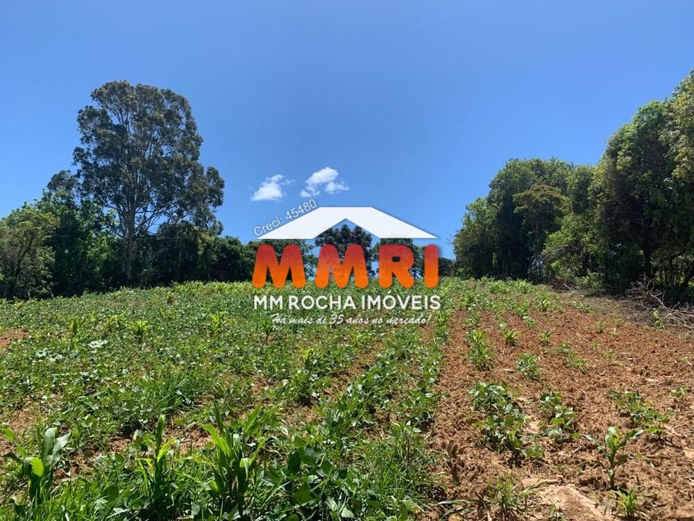 Terreno, 9000 m² - Foto 1