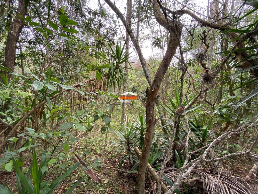 Terreno, 5446 m² - Foto 3