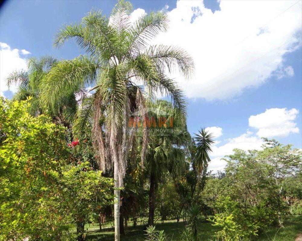 Chácara, 3 quartos, 5000 m² - Foto 2