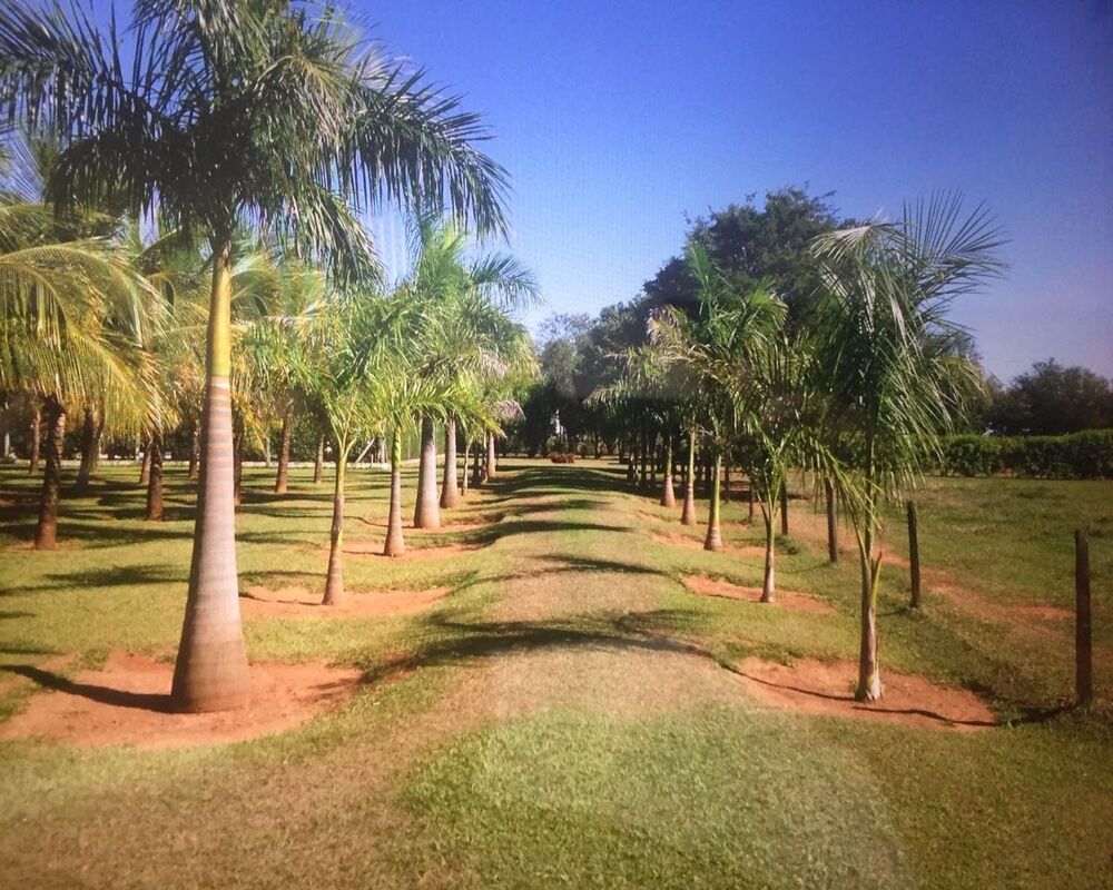 Fazenda à venda, 304m² - Foto 3