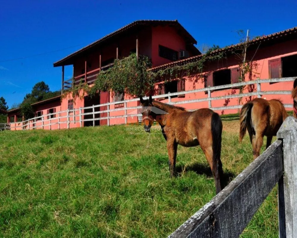 Fazenda à venda, 6m² - Foto 3