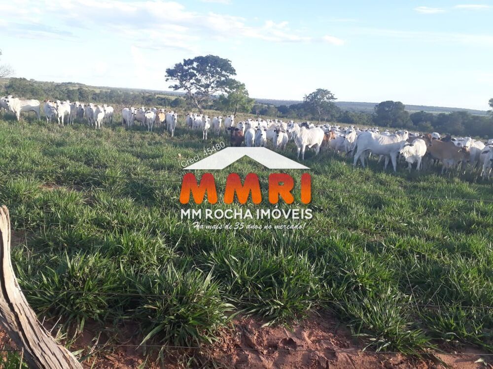 Fazenda à venda, 350m² - Foto 4
