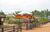 Fazenda, 12 hectares - Foto 4