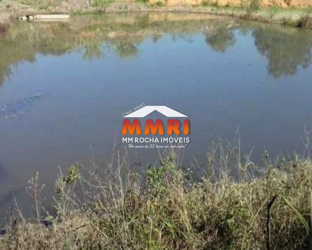 Sítio, 2 quartos, 10000 m² - Foto 4