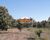 Sítio, 2 quartos, 10000 m² - Foto 6