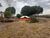 Terreno, 338000 m² - Foto 7