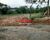 Terreno, 4500 m² - Foto 3