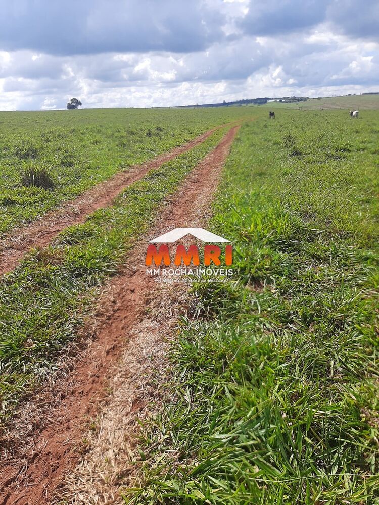 Fazenda à venda, 206m² - Foto 5