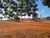 Fazenda-Sítio-Chácara - Foto 2