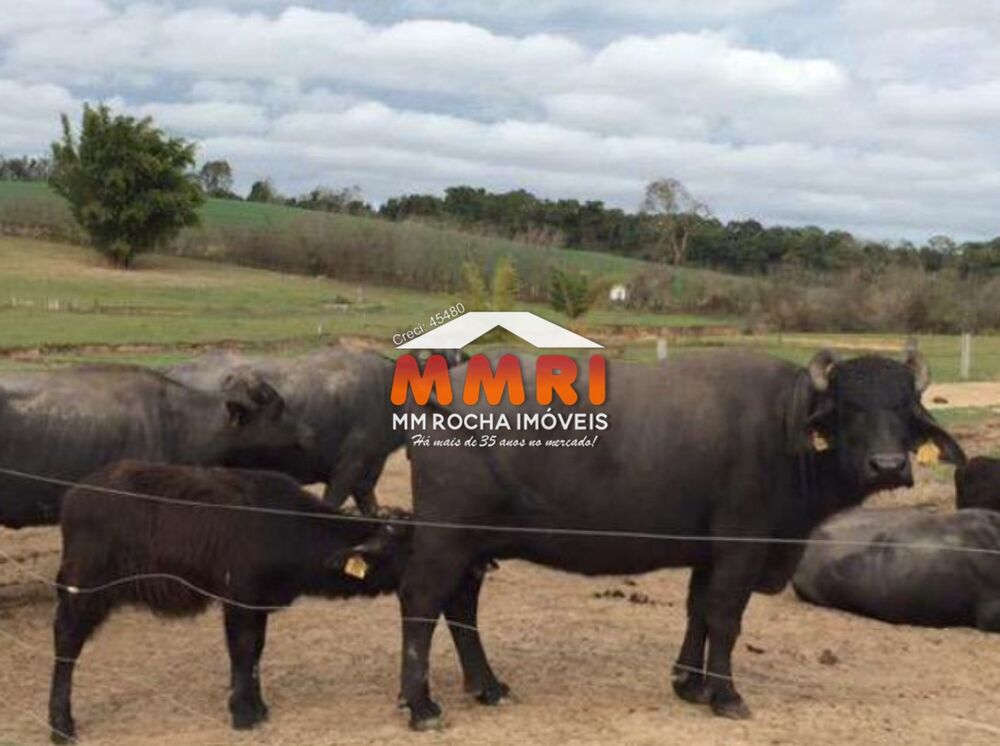 Fazenda à venda - Foto 1