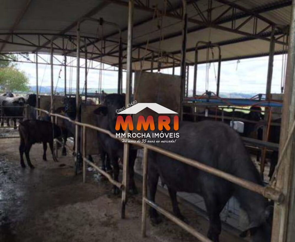 Fazenda à venda - Foto 3