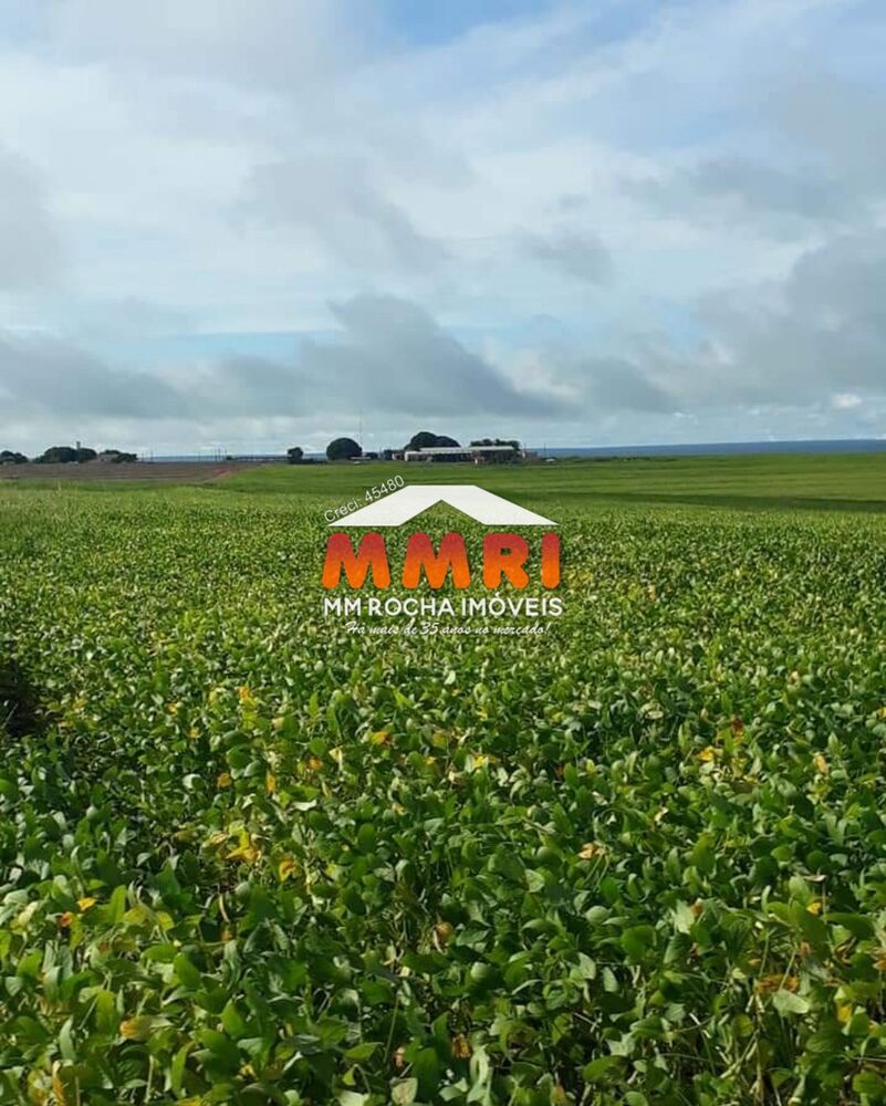 Fazenda, 4773 m² - Foto 4