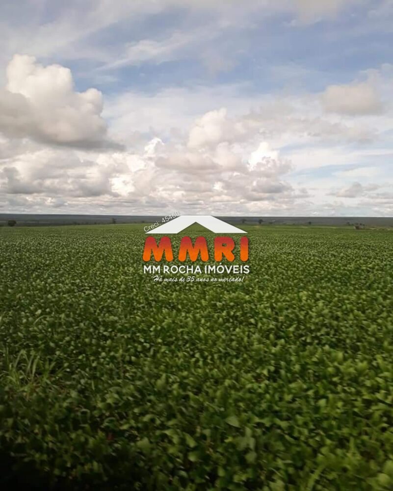 Fazenda, 4773 m² - Foto 1