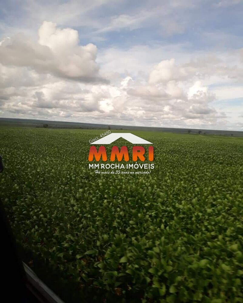 Fazenda, 4773 m² - Foto 2