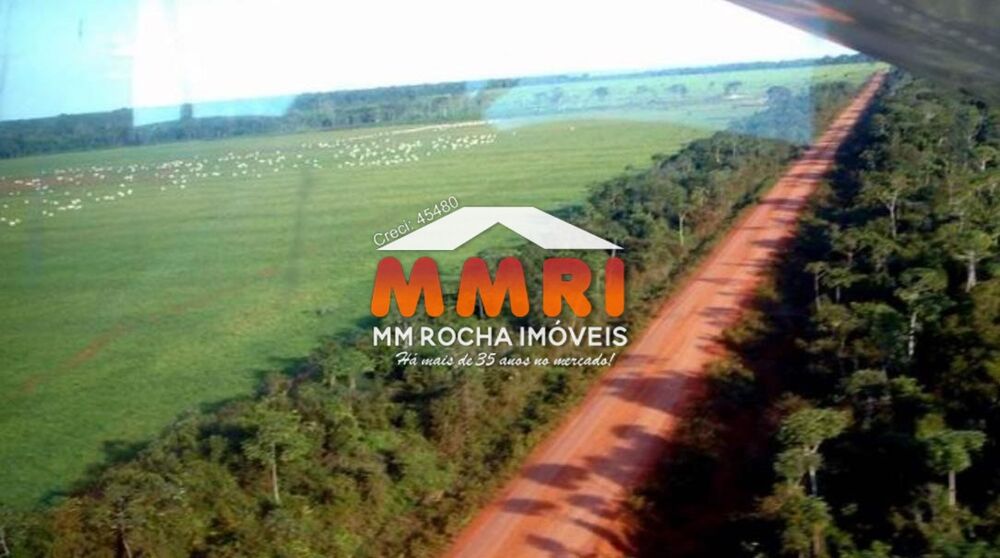 Fazenda, 10 hectares - Foto 7