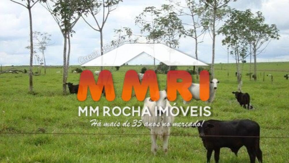 Fazenda, 10 hectares - Foto 9