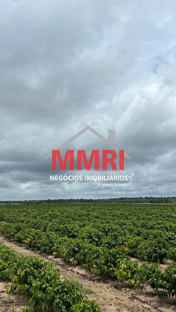 Fazenda, 8 quartos - Foto 14