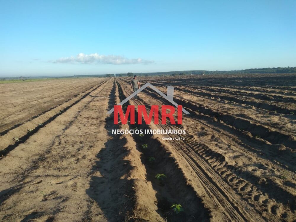 Fazenda, 8 quartos - Foto 7