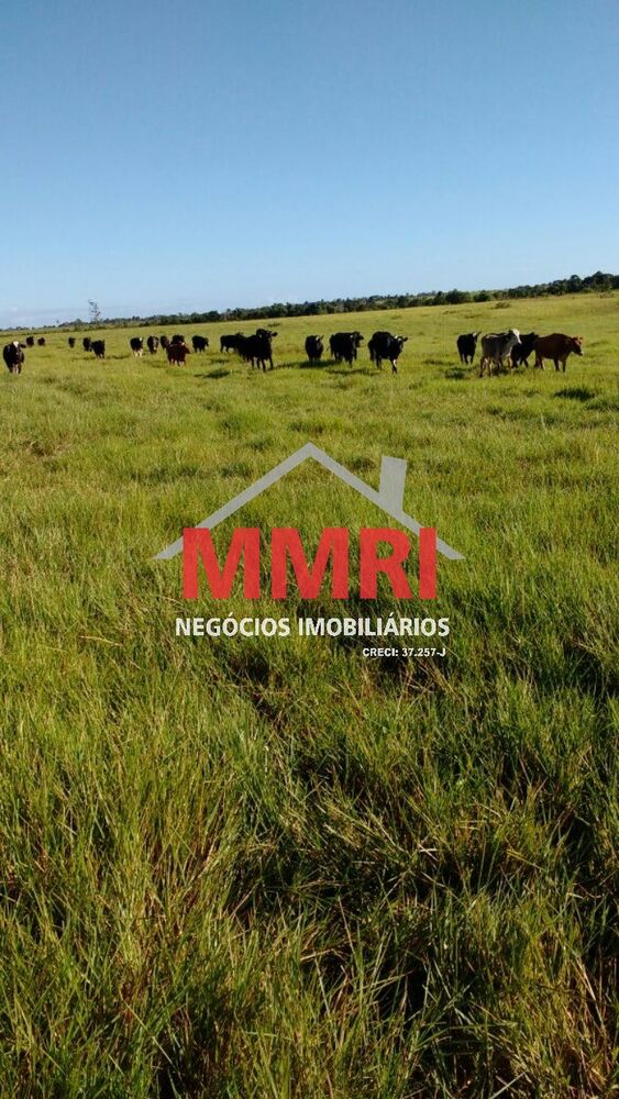 Fazenda, 8 quartos - Foto 4