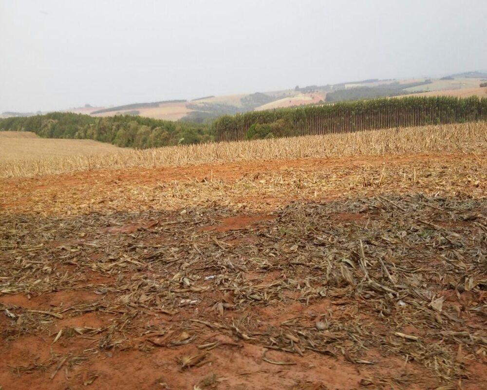 Fazenda à venda com 1 quarto, 626m² - Foto 2