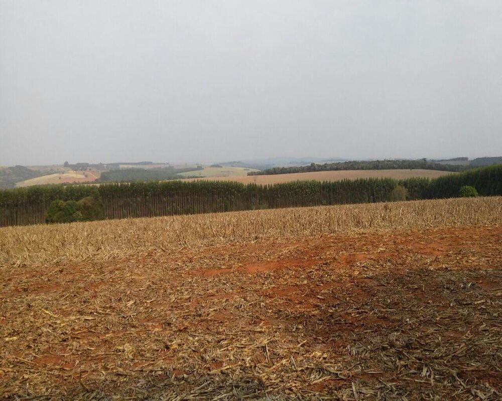 Fazenda à venda com 1 quarto, 626m² - Foto 4