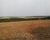 Fazenda-Sítio-Chácara, 1 quarto - Foto 4