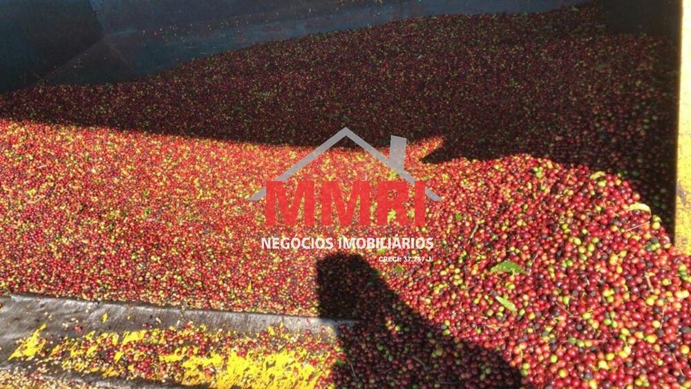 Fazenda à venda com 80 quartos - Foto 6