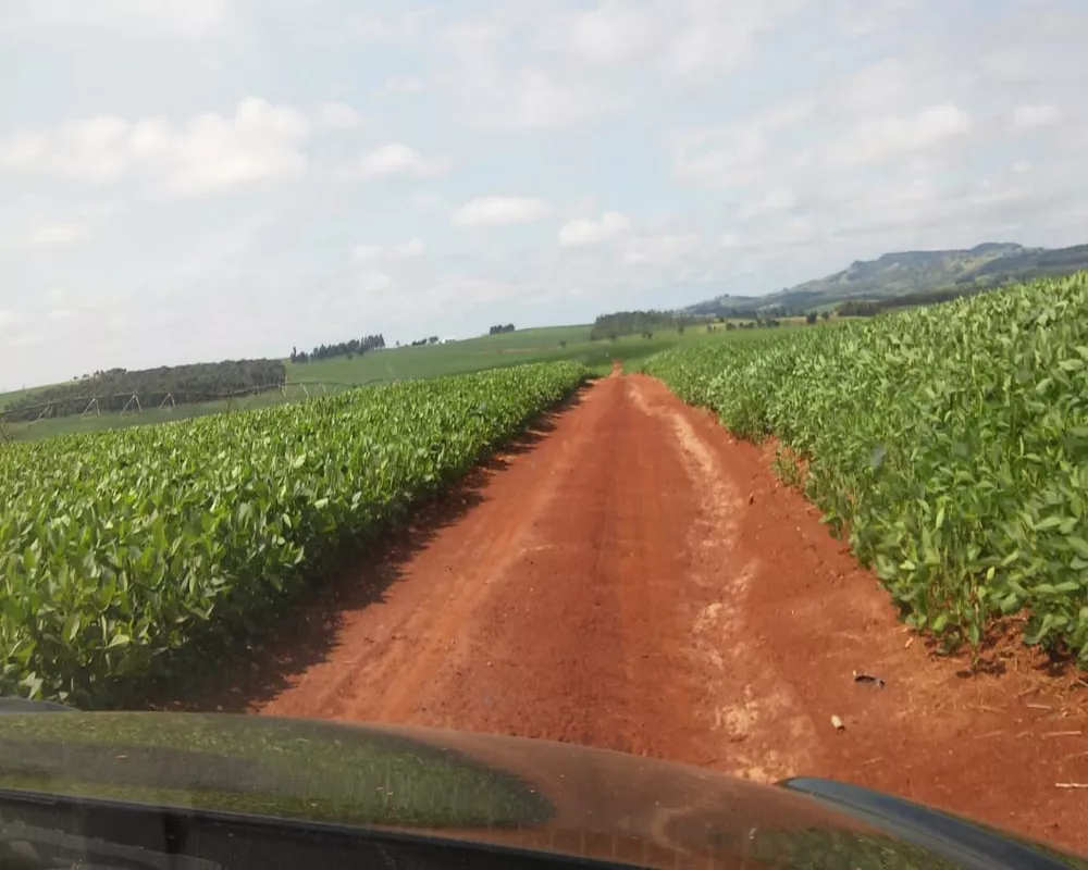 Fazenda à venda, 1300m² - Foto 4