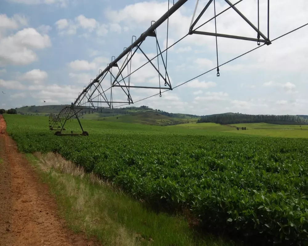 Fazenda à venda, 1300m² - Foto 10