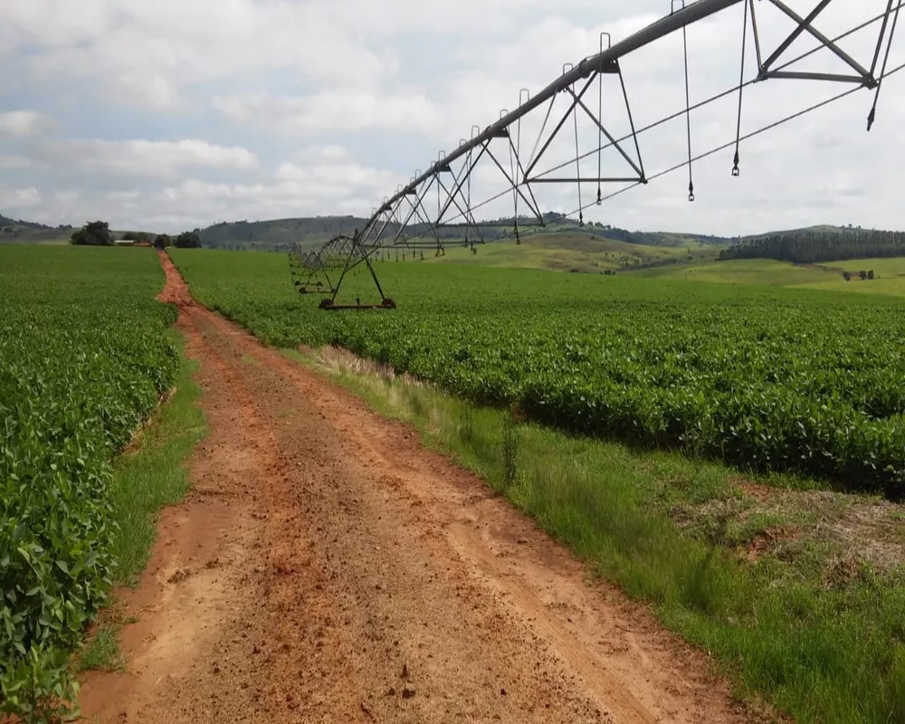 Fazenda à venda, 1300m² - Foto 9