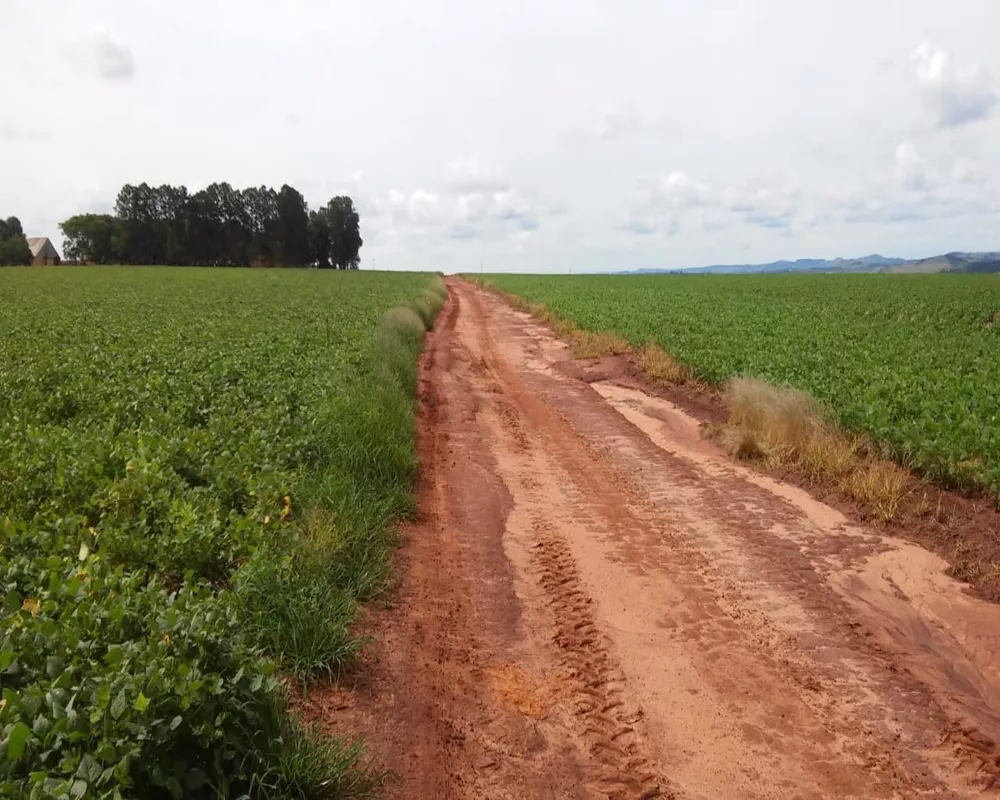 Fazenda à venda, 1300m² - Foto 1