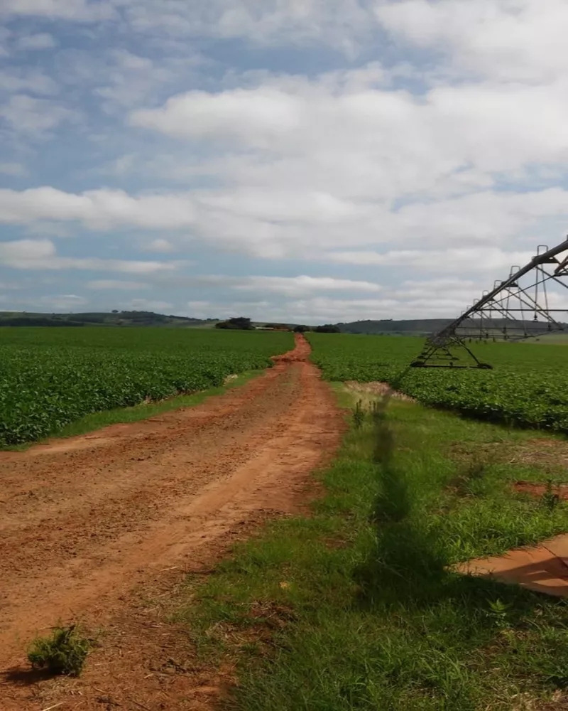 Fazenda à venda, 1300m² - Foto 7