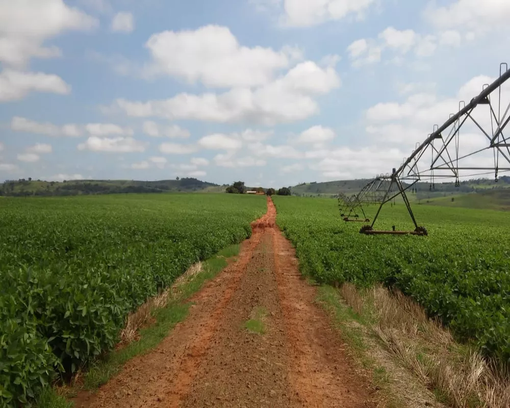 Fazenda à venda, 1300m² - Foto 8