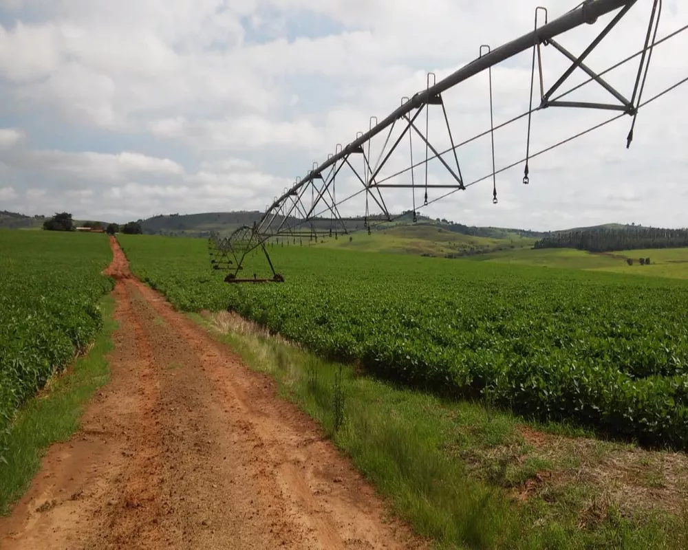 Fazenda à venda, 1300m² - Foto 6