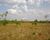 Fazenda-Sítio-Chácara, 1301 m² - Foto 1