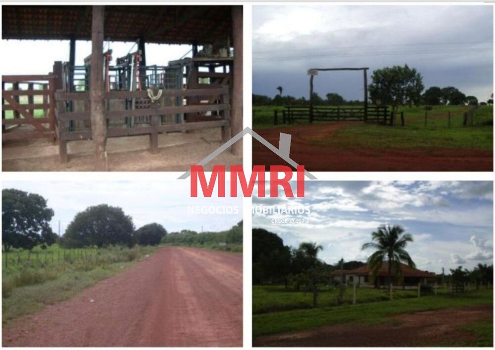Fazenda, 8 hectares - Foto 5