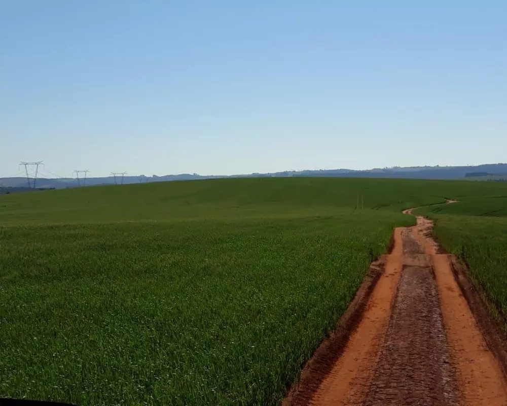 Fazenda à venda com 1 quarto, 340m² - Foto 7