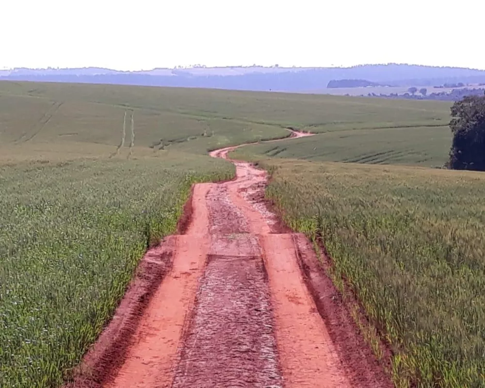 Fazenda à venda com 1 quarto, 340m² - Foto 6