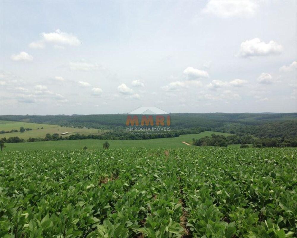 Fazenda à venda com 4 quartos, 150m² - Foto 13