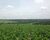 Fazenda-Sítio-Chácara, 150 m² - Foto 13