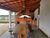 Sítio, 5 quartos, 19 m² - Foto 17