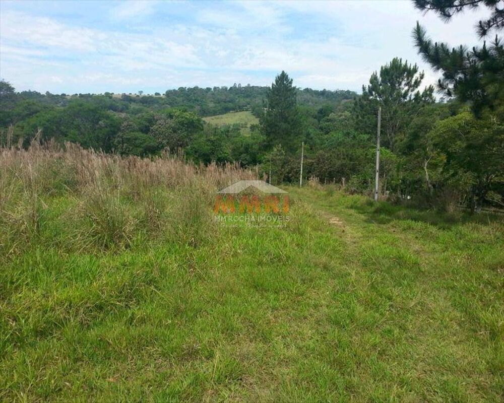 Sítio, 2 quartos, 6 hectares - Foto 4