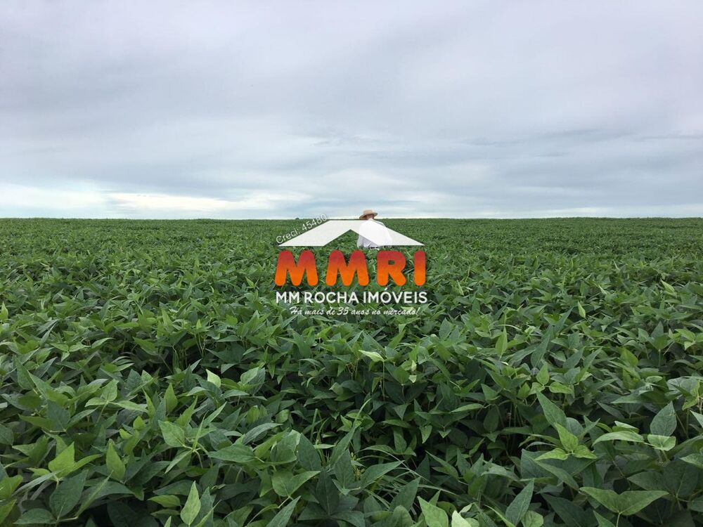 Fazenda, 1 quarto - Foto 6