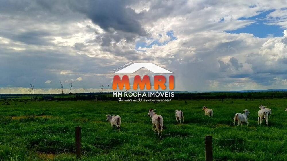 Fazenda, 1 hectares - Foto 3