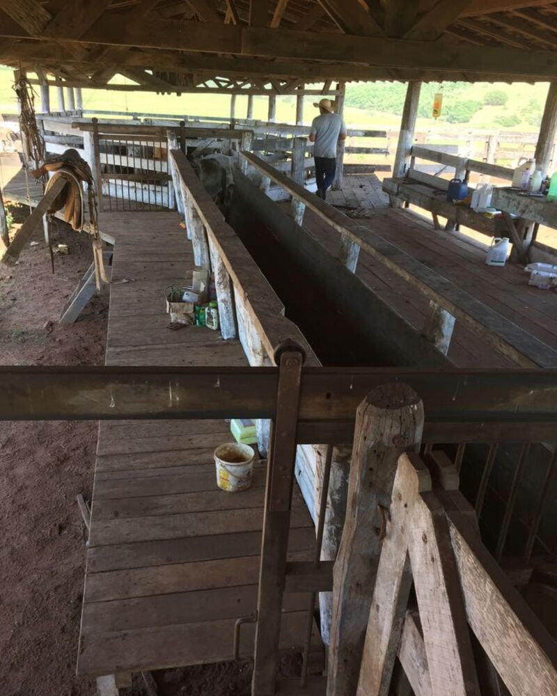 Fazenda, 1 quarto - Foto 14