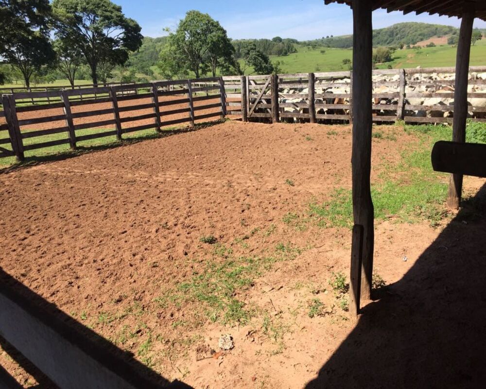 Fazenda, 1 quarto - Foto 13