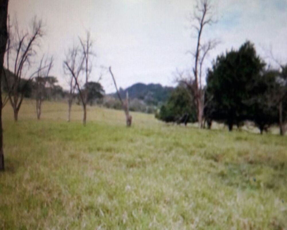 Fazenda, 1 quarto - Foto 3