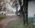 Fazenda-Sítio-Chácara, 1 quarto - Foto 1