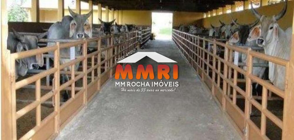 Fazenda, 163 m² - Foto 2