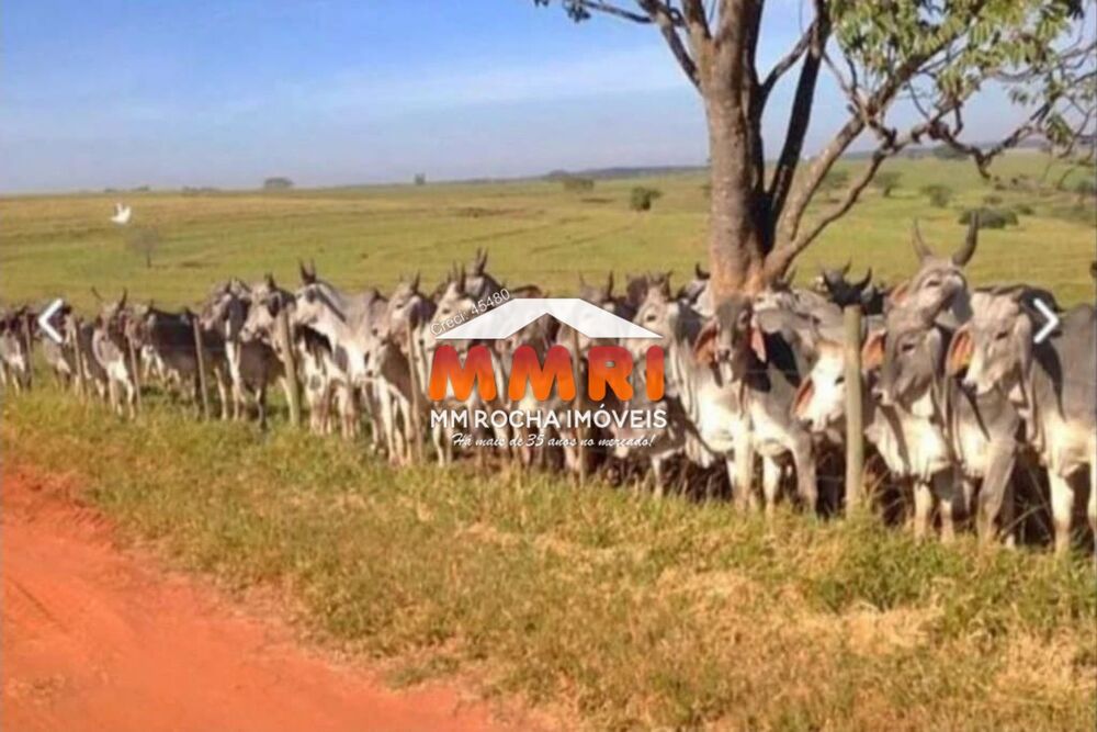 Fazenda, 163 m² - Foto 10